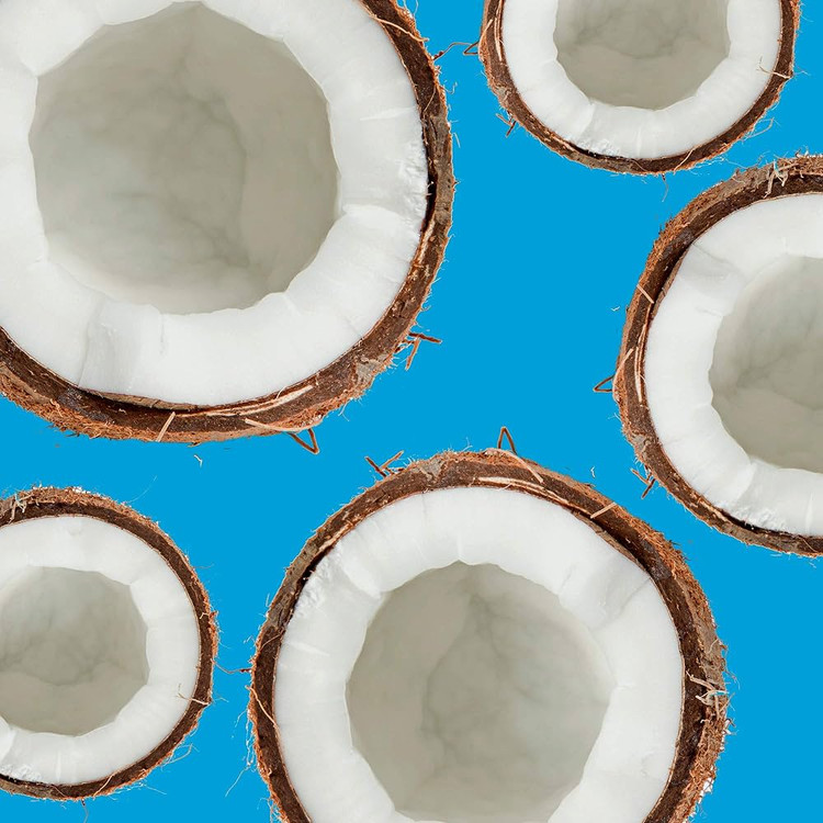 نرمکننده آبرسان و مغذی مو هربال اسنسز مدل Hello Hydration با عصاره نارگیل | مناسب موهای خشک | 400 میلیلیتر