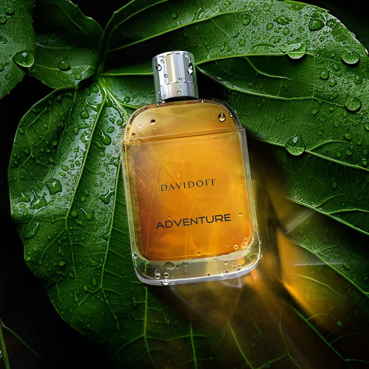 عطر مردانه دیویدوف آدونچر ادو تویلت 100 میلی لیتر اصل | Davidoff Adventure