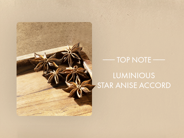 عطر مردانه آزارو پور هوم ادوتویلت ۱۰۰ میلیلیتر اصل